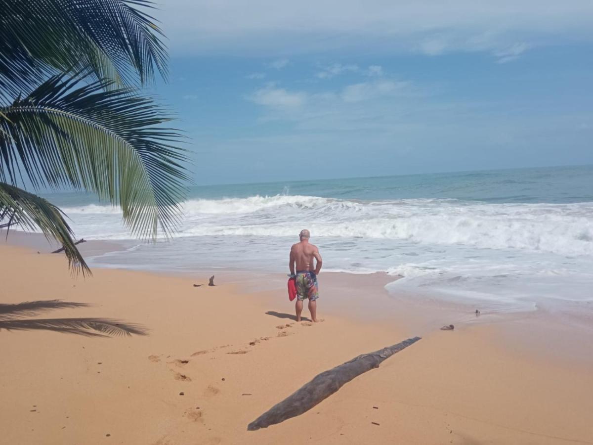 La Luciernaga Big Creek Bed & Breakfast Bocas del Toro Exterior photo
