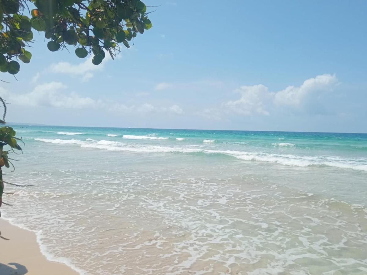 La Luciernaga Big Creek Bed & Breakfast Bocas del Toro Exterior photo